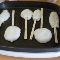 DSCN3668