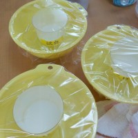 DSCN3765