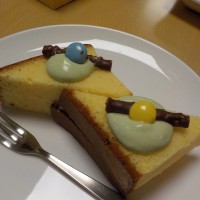 DSCN6046