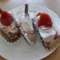 DSCN6086