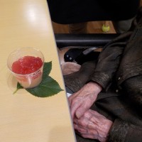 DSCN6134