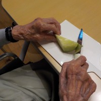 DSCN6210