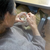 DSCN6235