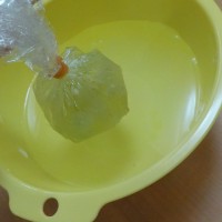 DSCN6252
