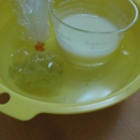 DSCN6254