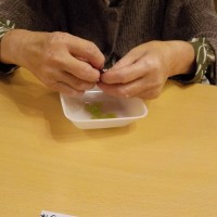 DSCN6272