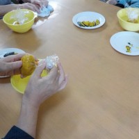 DSCN6336