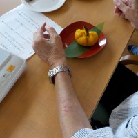 DSCN6340