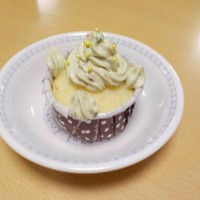 DSCN6869