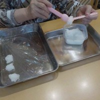 DSCN7524