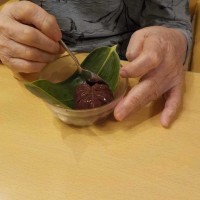 DSCN7605